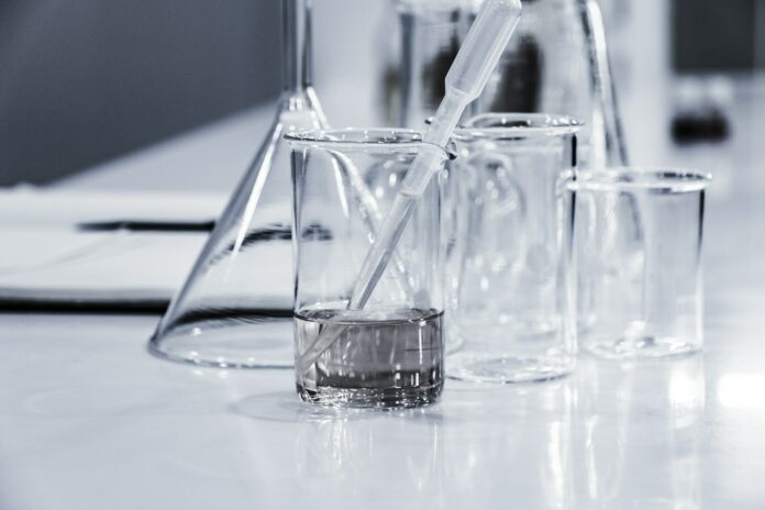 Photo by Hans Reniers three clear beakers placed on tabletop
