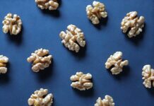 뇌 건강을 위한 식단 팁 white and brown flower petals