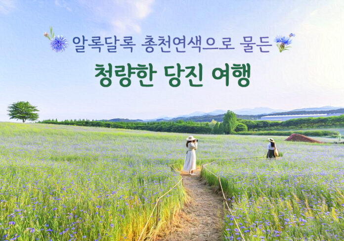 청량한 당진 여행