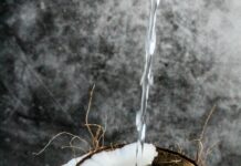 운동 후 단백질 섭취의 중요성과 필수 영양소 채우기 brown and white cake with white candle