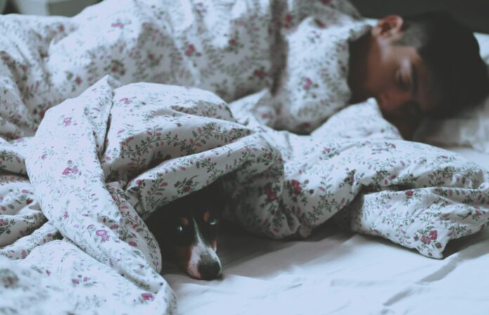 Photo by Claudia Mañas man lying on bed beside short-coated black dog