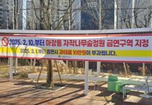 ‘마장동 자작나무 숲정원’ 금연구역 지정으로 더욱 쾌적해진다