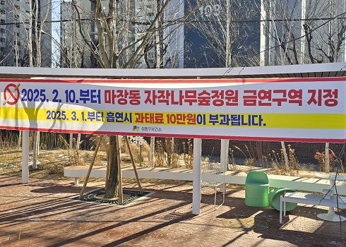 마장동 자작나무 숲정원