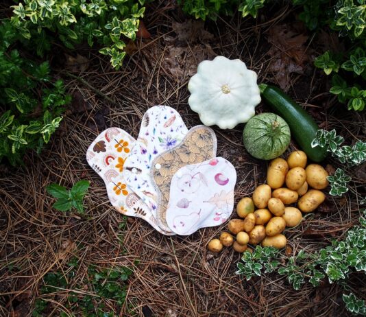 “생리 전만 되면 살이 찌는 이유”…몸이 아니라 ‘호르몬’ 때문입니다 a butterfly on a flower