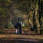 ‘마이크로걷기’가 뜬다… 바쁜 일상 속 간편 운동법 주목 Two people walking down a path in the woods
