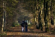 ‘마이크로걷기’가 뜬다… 바쁜 일상 속 간편 운동법 주목 Two people walking down a path in the woods