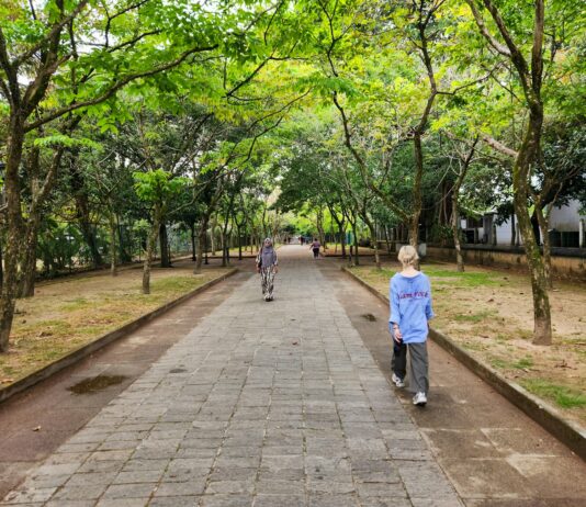 바쁜 일상 속 ‘짧은 운동’, 건강 지키는 새로운 습관으로 자리잡아 Two people walking down a path in a park