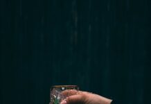 내 손안의 건강 비서, AI 기반 건강 관리가 바꾸는 일상 person holding clear drinking glass with water