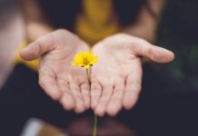 “마음 챙기는 일상, 소소한 습관이 건강 바꾼다” selective focus photography of woman holding yellow petaled flowers