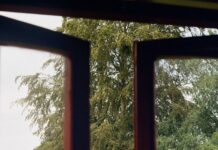스마트폰 없이 보내는 하루, 디지털 디톡스 실천법 인기 A view through an open window of a garden with a flowering white bush